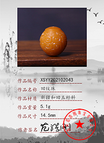 xsyy202102043