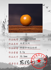 xsyy202102065