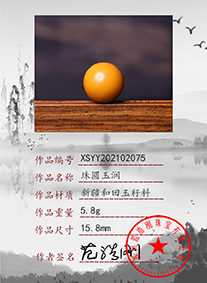 xsyy202102075
