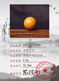 xsyy202102081