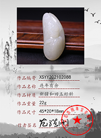 xsyy202102088