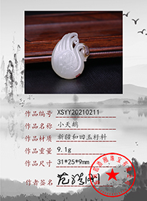 xsyy20210211