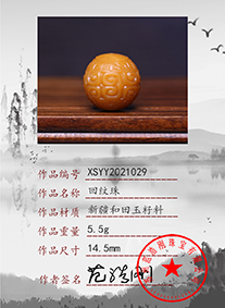 xsyy2021029