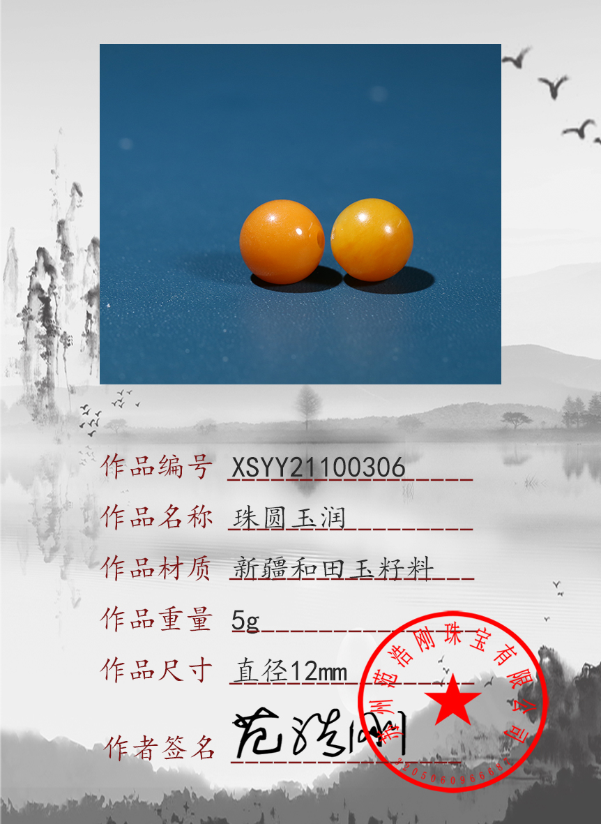 xsyy21100306