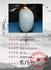 xsyy22091691