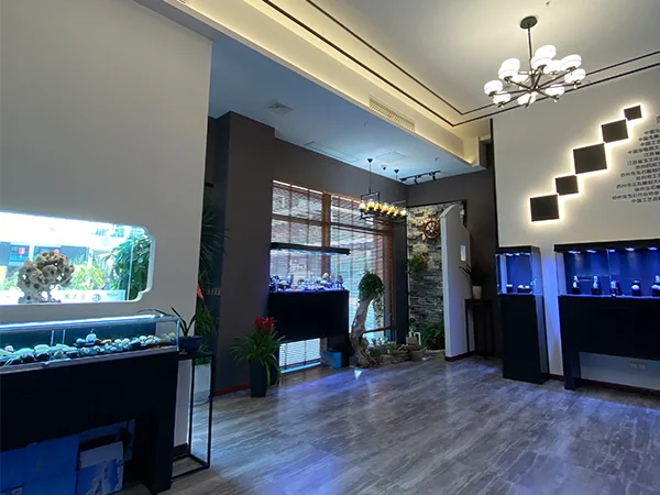 环境展示