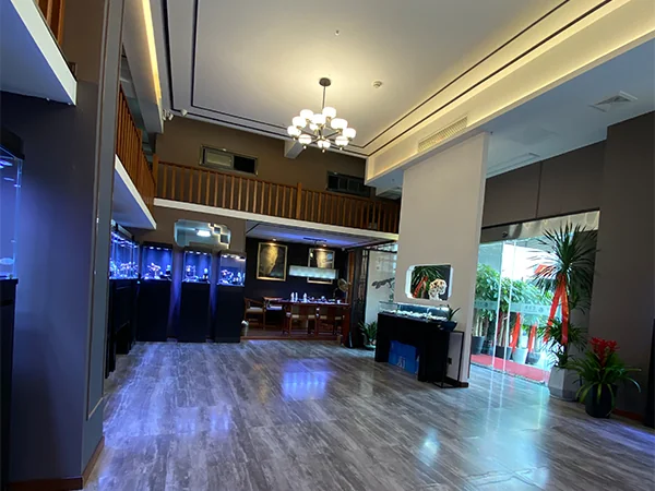 环境展示