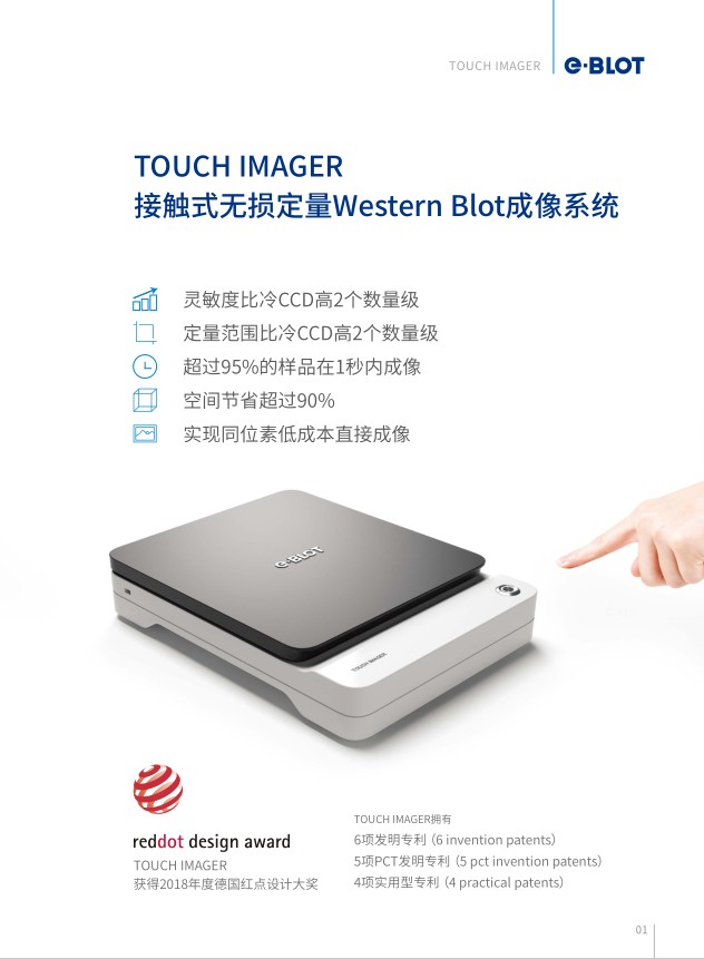 TOUCH IMAGER接触式无损定量Western Blot成像系统
